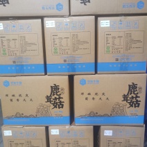 鹿茸菇干品