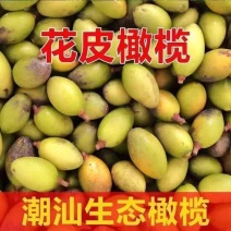 广东潮州饶平花皮橄榄，工厂果，市场果供应中
