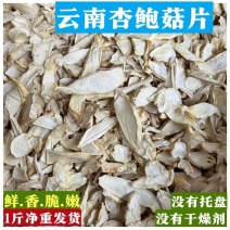 云南特产杏鲍菇干货农家烘干杏鲍菇滑嫩爽口煲汤海鲜菇菌菇长菇