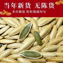 正宗长粒美人甲原味指甲南瓜子椒盐瓜子新货美甲批发