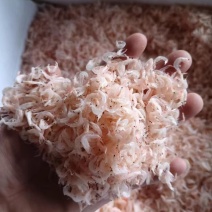 浙江东海淡干虾皮，量大的看过来。量大从优。