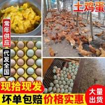 林下散养土鸡蛋当天捡当天发破损包赔售后保障