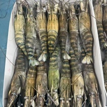 生冻罗氏虾现货净重800g一盒，规格都有