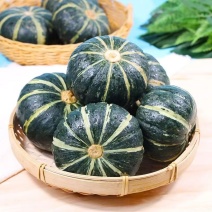 正宗贝贝南瓜厂家直发甜糯板栗味婴儿辅食贝贝板栗南瓜