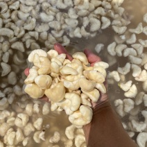 菱角米