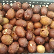 山东临沂烤鸭蛋厂家直销，破壳烤鸭蛋便宜处理，需要的联系我