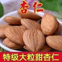 新疆熟杏仁去壳甜杏仁正宗杏仁甜苦杏仁大杏仁扁原味坚果杏仁批发