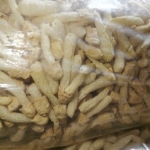 第一批好货