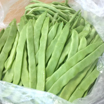河北扁豆角现摘现发产地直发对接商超市场全国发货
