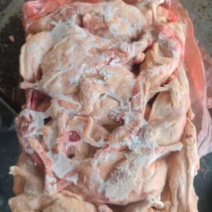 三级净膛鸭
