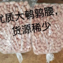 鹌鹑腰子200公斤