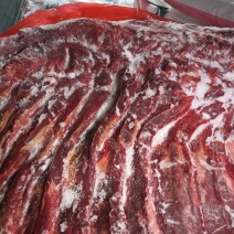 精品四分体马肉，五分体马肉，保证活马吊质优价低，手续齐全
