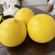 黄晶果