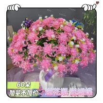 新款60朵卷心玫瑰手工DIY材料包手工制作手工