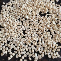 白糯玉米干籽，3万斤大量有货，需要尽快联系，先到先得