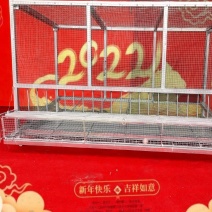 狗笼子