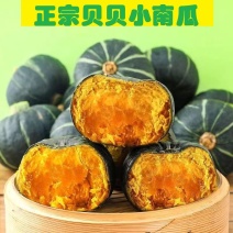 正宗贝贝南瓜老南瓜板栗味新鲜粉糯甜孕妇宝宝小南瓜辅食整箱