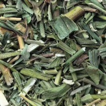 柴胡苗柴胡切片柴胡青苗柴胡