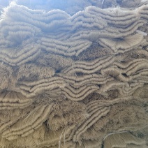 红薯粉条