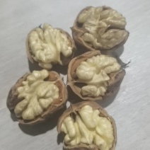 大凉山清皮核桃
