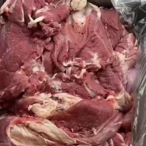 全羊去骨羊板肉，整羊剔骨，适合烧烤，红烧，剁馅，红焖羊肉