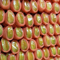 杨桃
