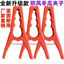 冬瓜夹子大号塑料夹子竹竿扶蔓夹吊秧夹绑蔓夹罗汉果黄瓜防风
