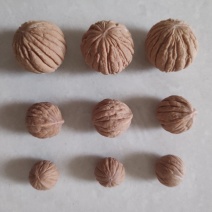 文玩小核桃