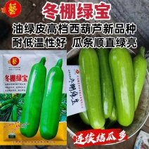 豫艺冬棚绿宝油皮西葫芦种子翠绿油亮耐低温角瓜种子高产抗病