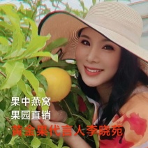 上海直供新鲜黄晶果，果香浓郁，甜润多汁，健康美味，品质保证！