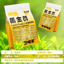 恋凝香头采黄金芽绿茶茶叶明前特级嫩芽2025新茶浓香耐泡正宗