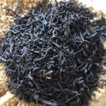 陈年高山老茶