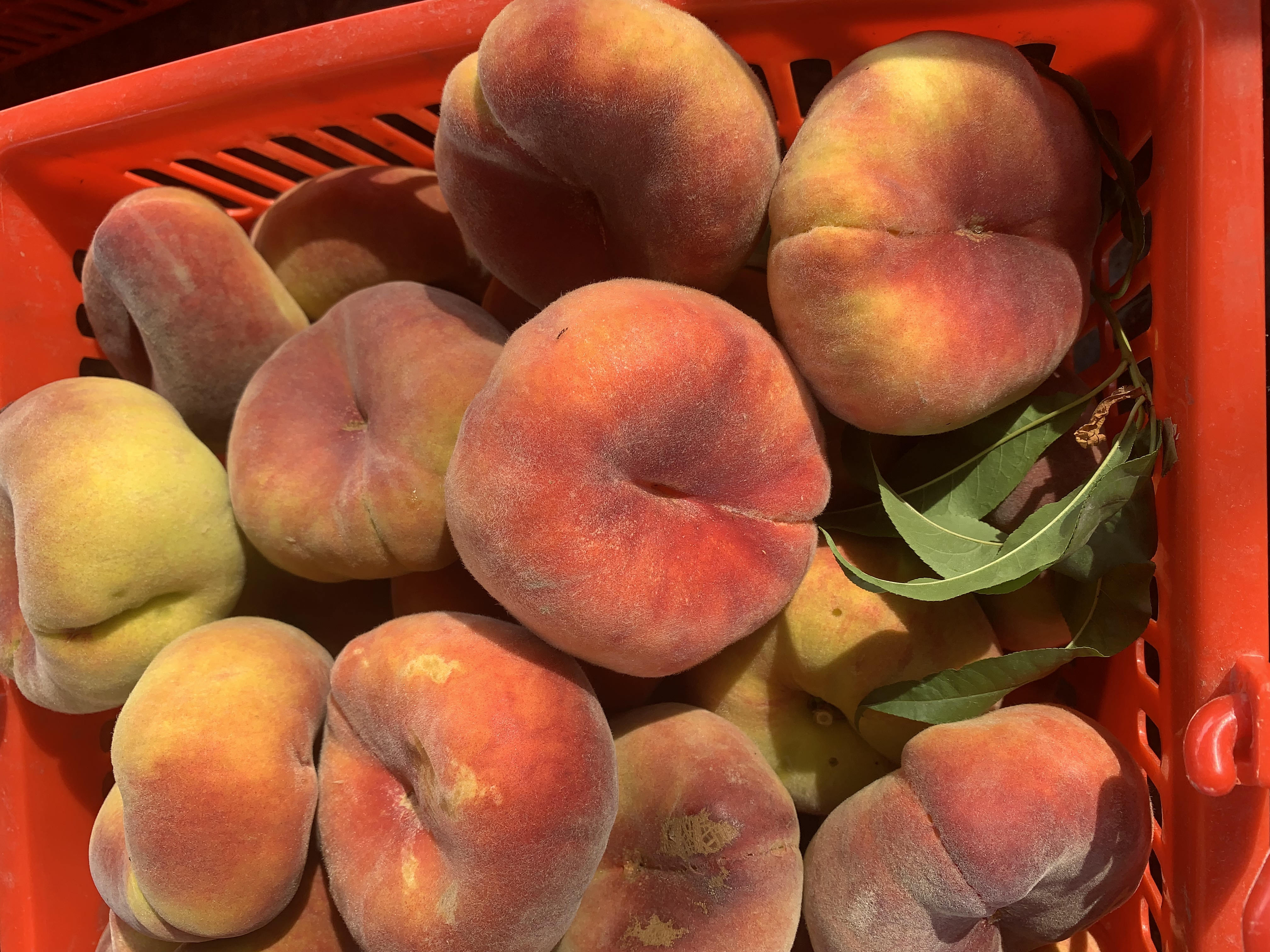 果篮中的新鲜蟠桃