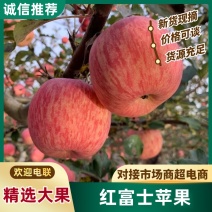 洛川红富士苹果正宗红富士苹果产地直发货源稳定欢迎来电