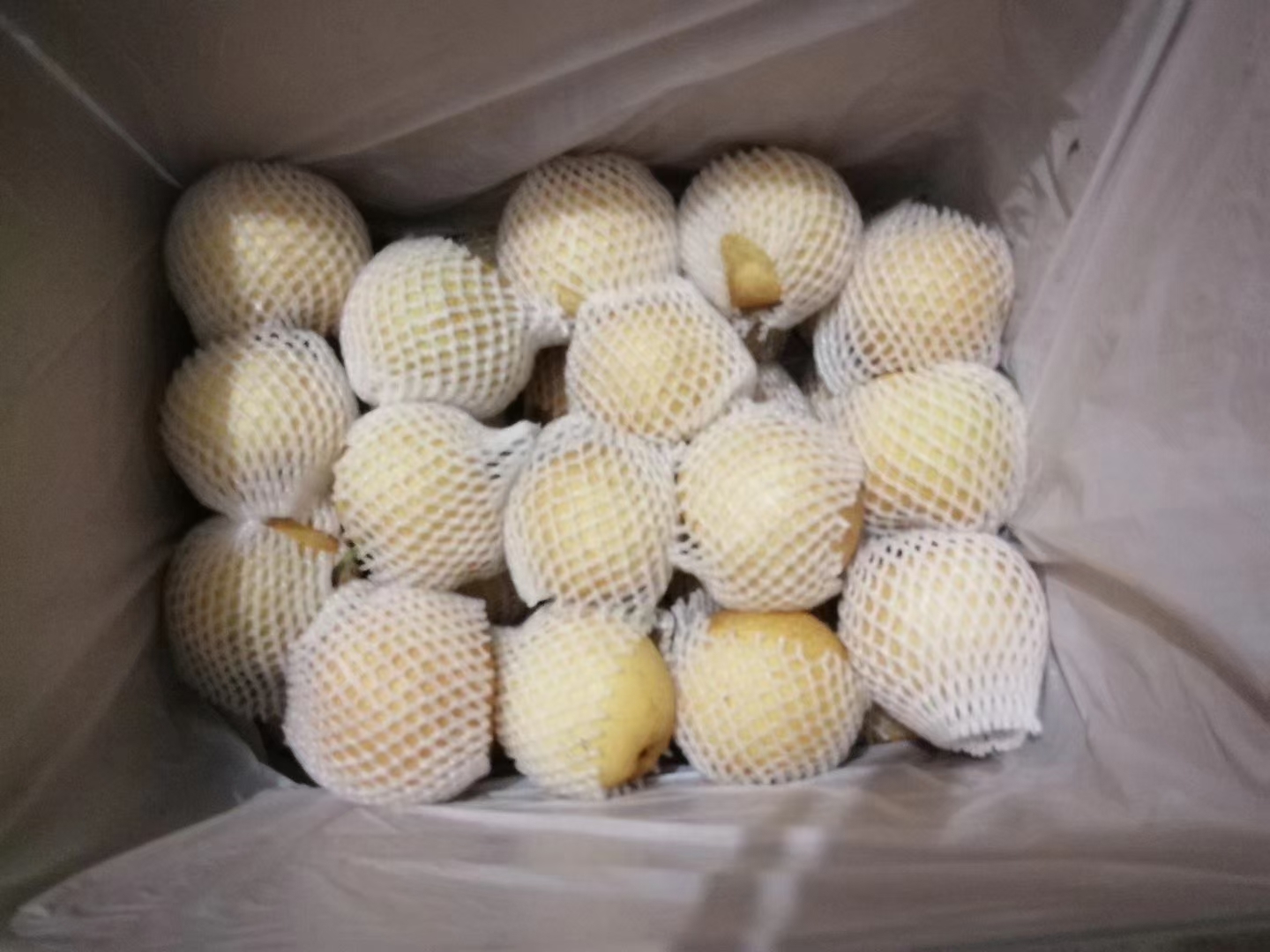 现代化水果分拣车间内,传送带上的黄晶梨经过光学筛选机自动分级,工人正在将优质果装入印有‘黄晶梨’字样的红色礼盒,背景可见冷库入口和物流车辆 黄晶梨加工与包装场景图
