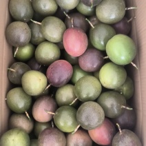 百香果