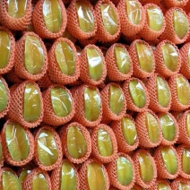 杨桃