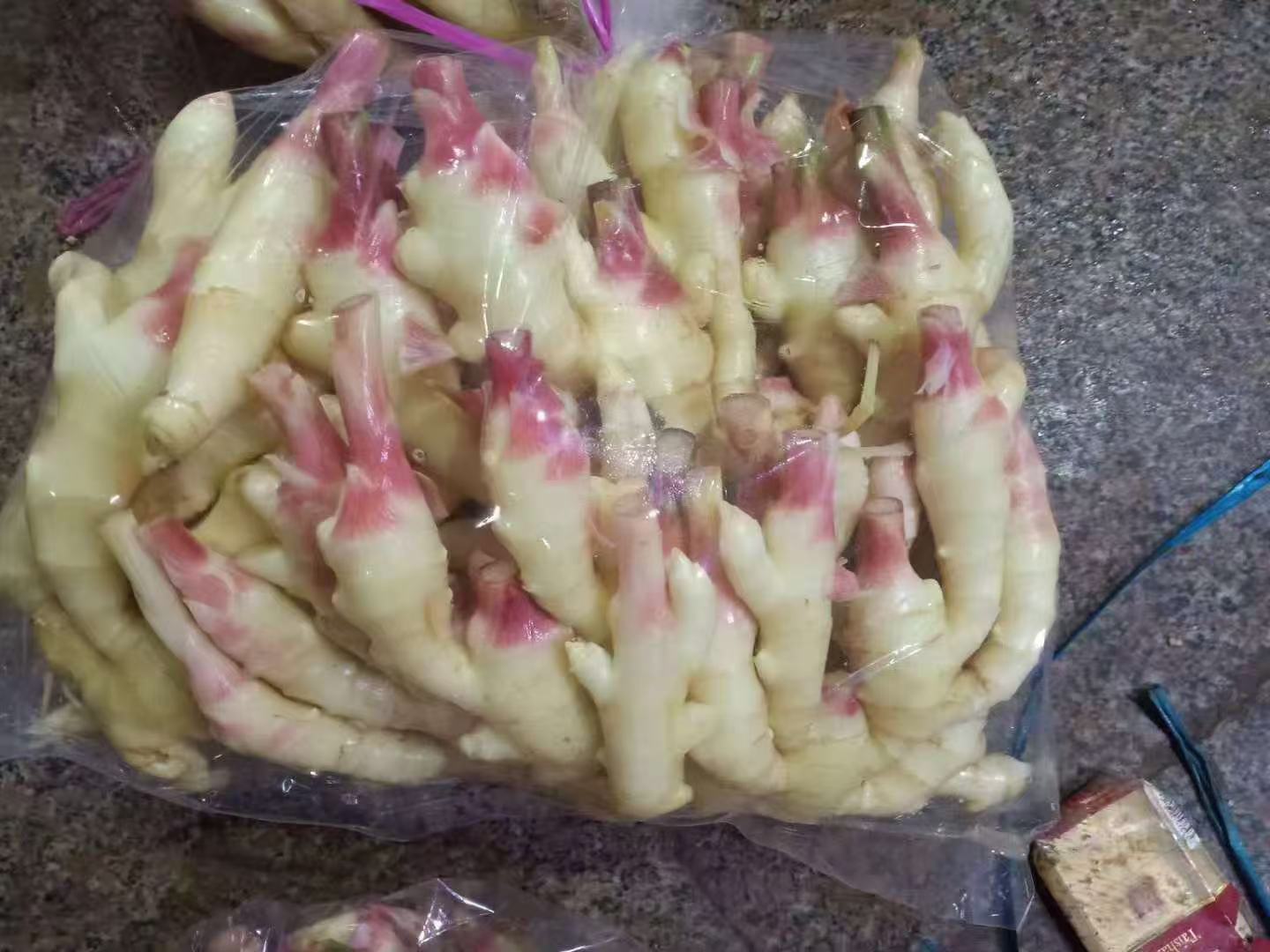 岛津LC-20A高效液相色谱仪显示屏特写,显示清晰单一主峰(保留时间8.42min),标注'6-Gingerol, 98.2% purity';旁置样品瓶含淡金色姜粉水溶液与标准品对照;背景可见CNAS认证标识与'子姜姜粉 活性成分稳定性 ≥24个月(25℃避光)'检测报告摘要 实验室场景:HPLC色谱仪正在分析子姜姜粉水提液中6-姜酚峰面积