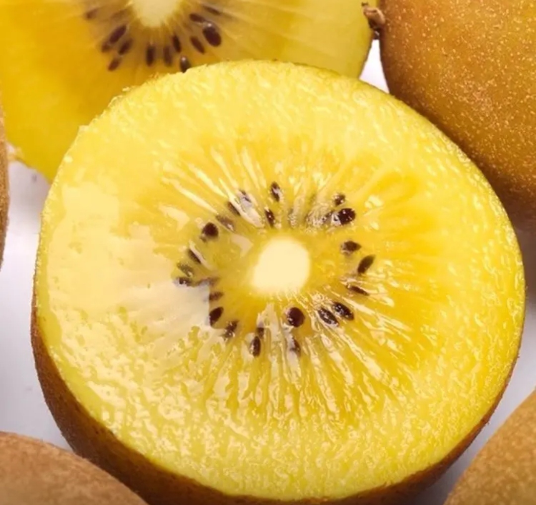 黄心猕猴桃特写