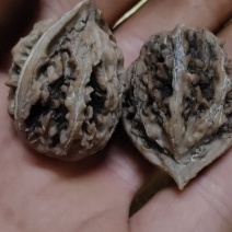 商洛山阳野核桃