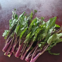 红油菜苔