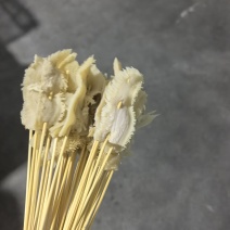 牛肚串