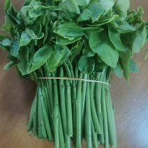 树仔菜天绿香益肝菜
