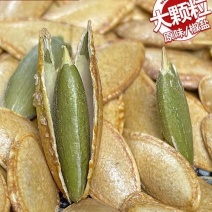 美人甲支持全国发货大量有货颗粒大