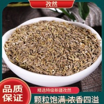 新疆孜然