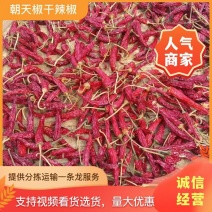 广西龙脊干辣椒皮薄肉厚产地直发量大价优对接全国采购商