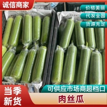 （热销）广西精品肉丝瓜＼水瓜可一件代发新鲜当季品质保证