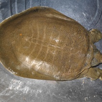 水产