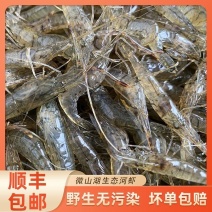 微山湖新鲜小河虾冰鲜小明虾小土虾野生小河虾鲜活淡水湖速湖