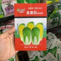 四季金皇后娃娃菜种子蔬菜种子生长快品质好菜籽春夏